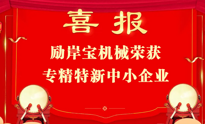 喜訊｜勵岸寶榮獲2024年度入選專精特新中小企業(yè)